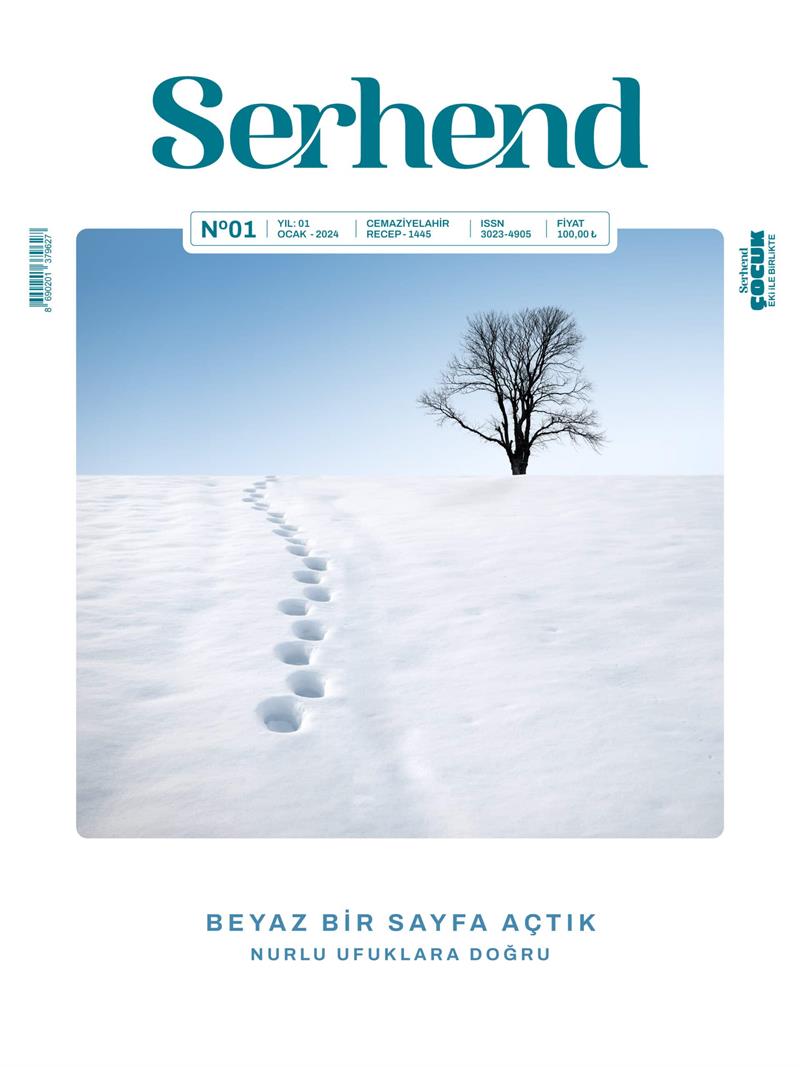 1. Sayı
