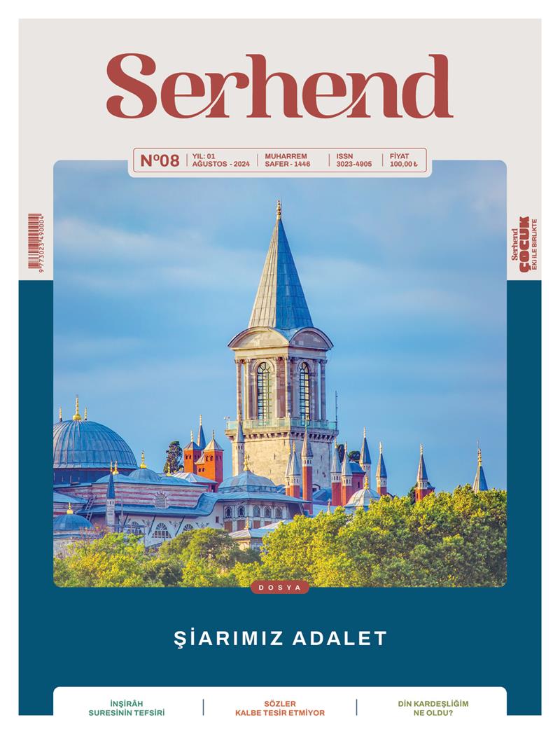 8. Sayı