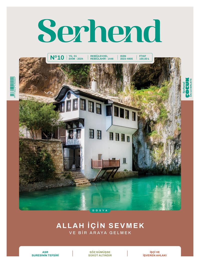 10. Sayı