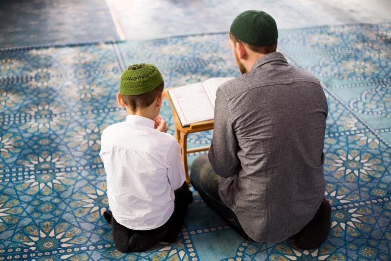 Bir Rehber Gerek