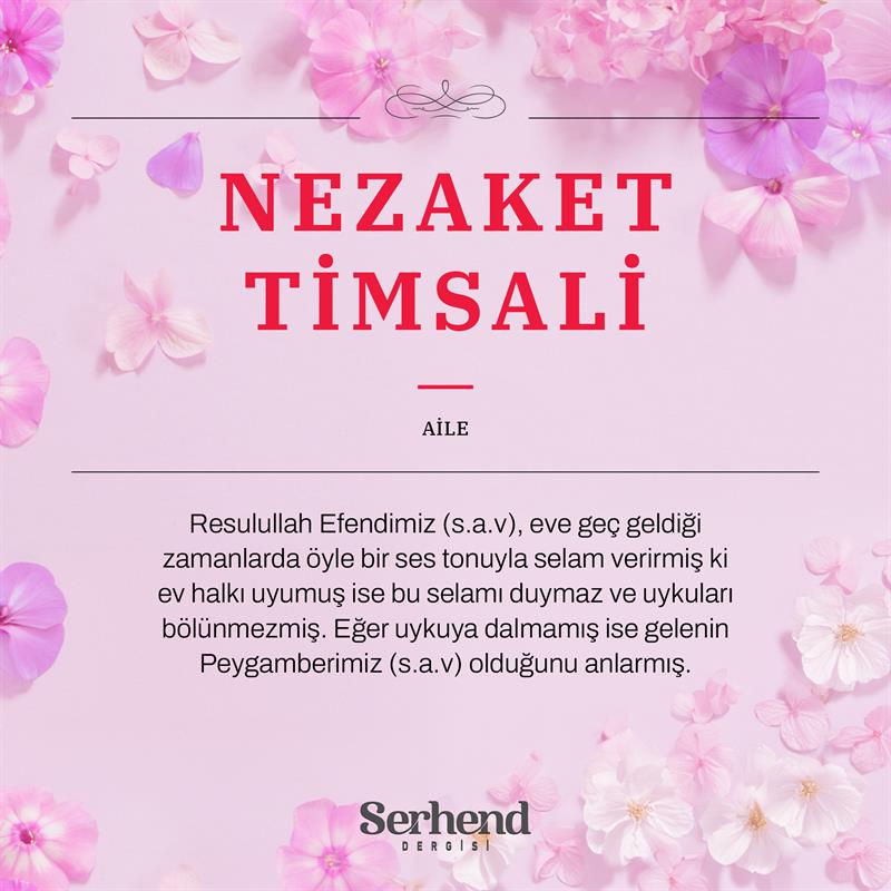 Nezaket Timsali