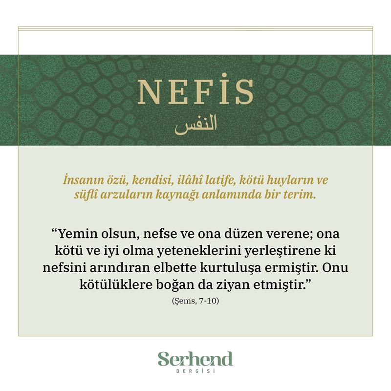 Nefis