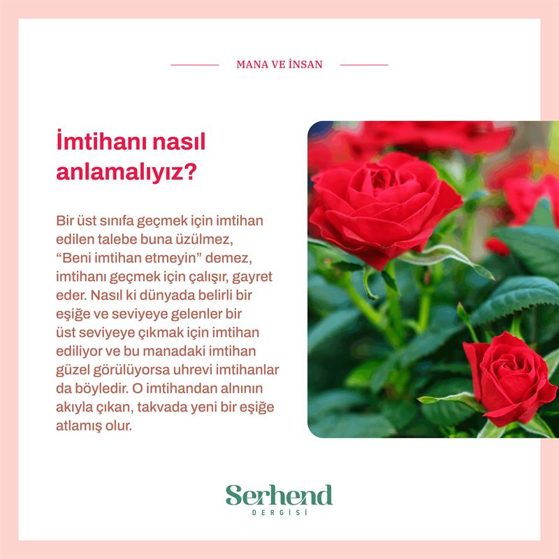 Mana Ve İnsan