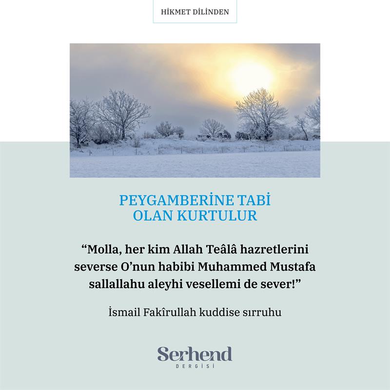 Hikmet Dilinden - Peygamberine Tabi Olan Kurtulur