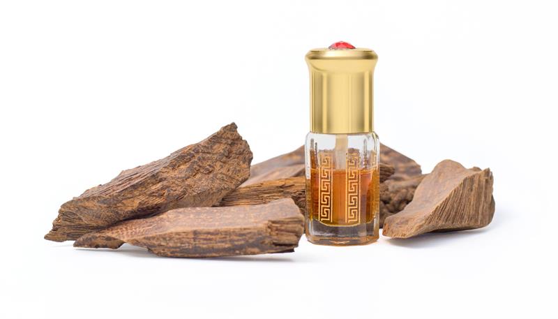 Güzel Koku Sürünmek