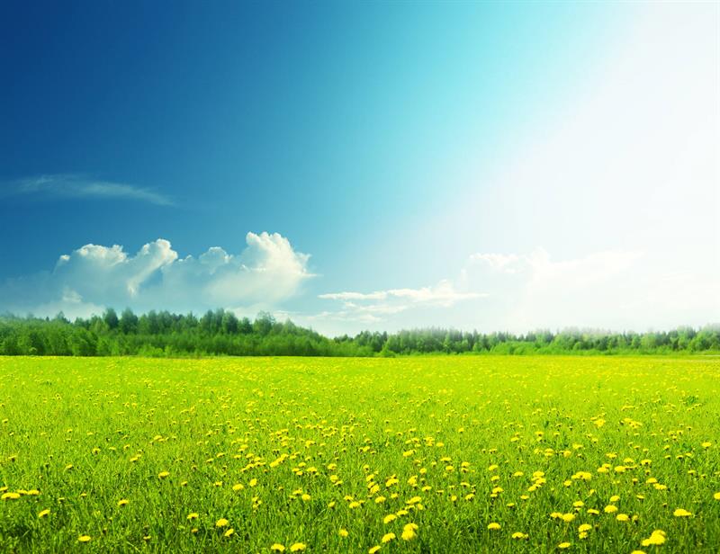 Allah’ın Zikrinden Yüz Çevirmemek