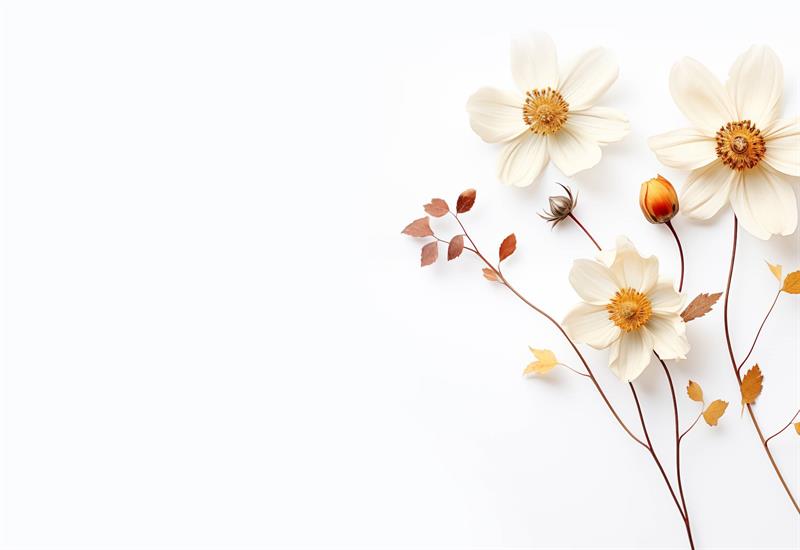 “fıtrat” Hadislerini Nasıl Anlamalıyız?